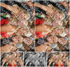 Evenement foto: Heiloo Serie 26