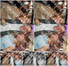 Evenement foto: Heiloo Serie 27