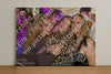 Evenement foto: Heiloo Serie 27