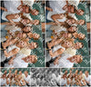 Evenement foto: Heiloo Serie 27