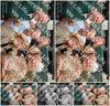 Evenement foto: Heiloo Serie 27