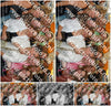 Evenement foto: Heiloo Serie 27