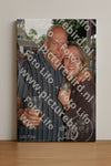 Evenement foto: Heiloo Serie 31