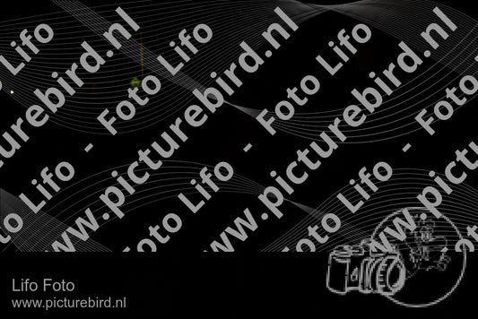 Evenement foto: Heiloo Serie 34