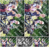 Evenement foto: Heiloo Serie 37