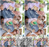 Evenement foto: Heiloo Serie 37