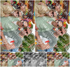 Evenement foto: Heiloo Serie 70