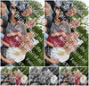 Evenement foto: Heiloo Serie 70