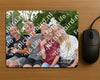 Evenement foto: Heiloo Serie 70
