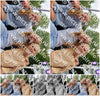 Evenement foto: Heiloo Serie 70