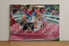 Evenement foto: Heiloo Serie 70