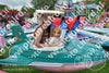 Evenement foto: Heiloo Serie 70
