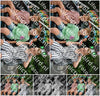 Evenement foto: Heiloo Serie 70