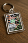 Evenement foto: Heiloo Serie 70