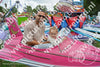 Evenement foto: Heiloo Serie 71