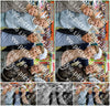 Evenement foto: Heiloo Serie 71