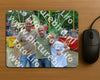 Evenement foto: Heiloo Serie 71