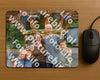 Evenement foto: Heiloo Serie 71