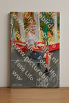 Evenement foto: Heiloo Serie 72