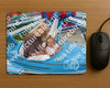 Evenement foto: Heiloo Serie 72