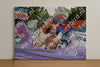 Evenement foto: Heiloo Serie 72