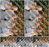 Evenement foto: Heiloo Serie 101