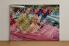 Evenement foto: Heiloo Serie 103