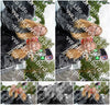 Evenement foto: Heiloo Serie 104