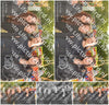 Evenement foto: Heiloo Serie 106