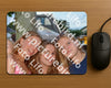 Evenement foto: Heiloo Serie 108