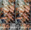 Evenement foto: Heiloo Serie 108