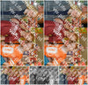 Evenement foto: Heiloo Serie 2