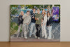 Evenement foto: Heiloo Serie 2