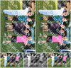Evenement foto: Heiloo Serie 2