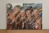 Evenement foto: Heiloo Serie 5