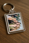 Evenement foto: Heiloo Serie 5