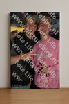 Evenement foto: Heiloo Serie 6