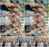 Evenement foto: Avond Van Andijk Serie 1