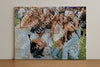 Evenement foto: Avond Van Andijk Serie 2