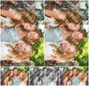 Evenement foto: Serie 2567