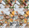 Evenement foto: Serie 2568