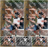 Evenement foto: Serie 2569