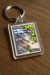 Evenement foto: Serie 2560