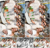 Evenement foto: Serie 2561