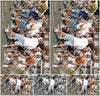 Evenement foto: Serie 2564