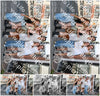 Evenement foto: Serie 2564