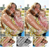 Evenement foto: Serie 2564