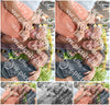 Evenement foto: Serie 2564