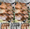 Evenement foto: Serie 2564