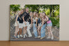 Evenement foto: Serie 2565